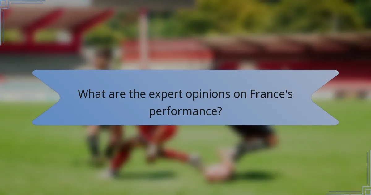 What are the expert opinions on France's performance?
