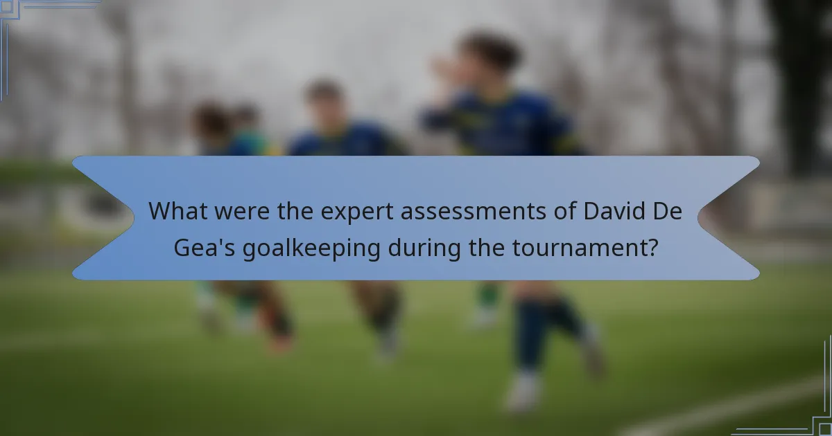 What were the expert assessments of David De Gea's goalkeeping during the tournament?